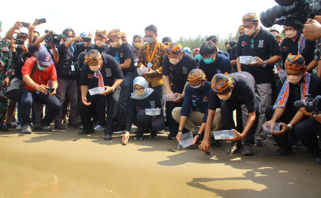 Menparekraf Sandiaga Uno bersama rombongan saat melepas 100 ekor tukik di Desa Wisata Serang di tepi Pantai Serang.