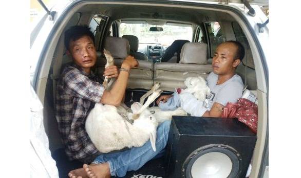 Kedua pelaku beserta barang bukti saat diamankan ke Mapolres Situbondo