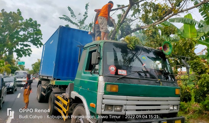 Anggota BPBD Pamekasan dan polisi dibantu masyarakat saat melakukan pemotongan pohon yang roboh menimpa truk trailer.