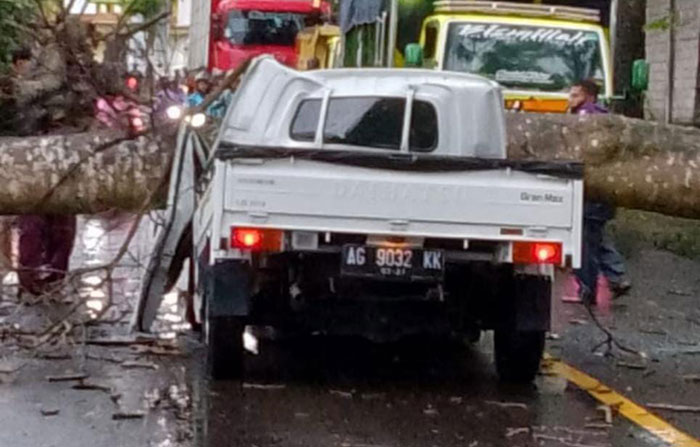Sebuah pikap yang tertimpa pohon di Jalan Raya Bajang, Kecamatan Talun, Kabupaten Blitar.