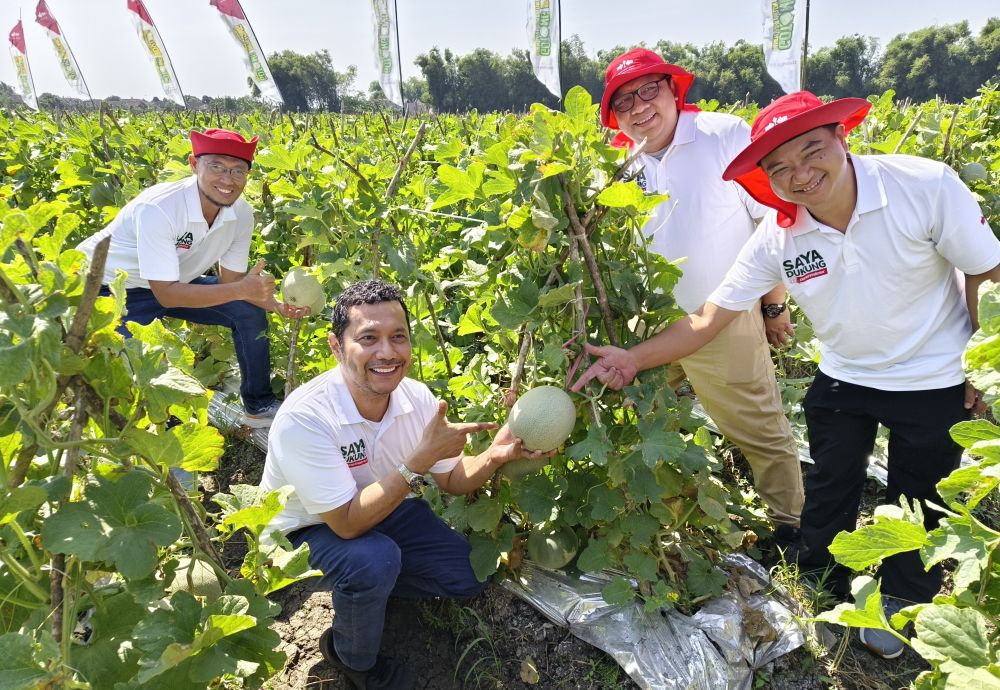 Direktur Utama PT East West Seed Indonesia, Glend Pardede, memperlihatkan hasil panen melon Davina F1 di lahan pertanian yang berlokasi di Desa Getas, Kecamatan Tanjunganom