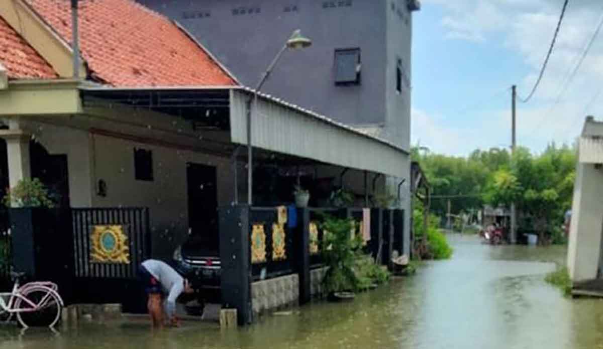 Ilustrasi banjir rob. Foto: Ist