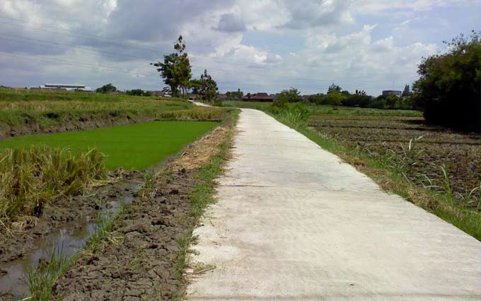 Disperta Pasuruan Anggarkan Rp 2 M untuk Benahi Infrastruktur Jalan Persawahan