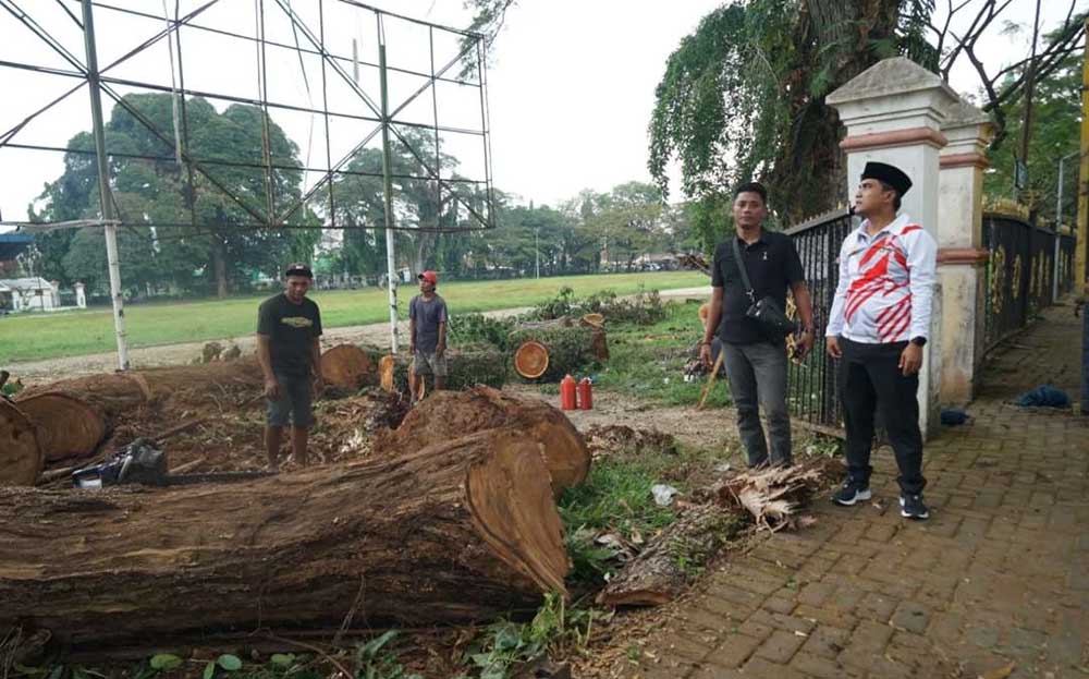 Bupati Lukman Hakim saat meninjau proses pemugaran pohon-pohon tua di kawasan Alun-Alun Bangkalan pada Kamis (3/7/2025) lalu. Foto: Kominfo.