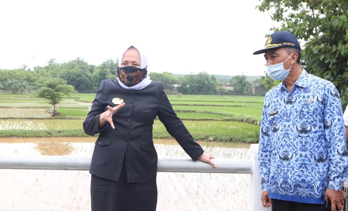 Bupati Bojonegoro Anna Muawanah saat turun ke lapangan.