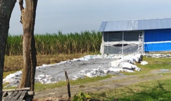 Sesak Dihirup dan Panas di Mata, Tumpukan Limbah B3 Dikeluhkan Warga Jombang