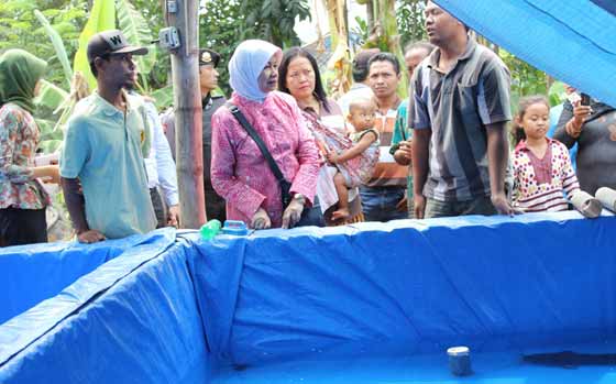 Calon Bupati Kediri Hj. Haryanti saat melihat proses pembibitan Lele di Dusun Bulurejo Desa Sumberejo kecamatan Kandat Kabupaten Kediri. foto: arif kurniawan/BANGSAONLINE
