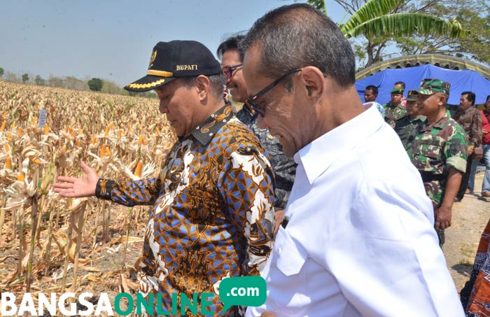 Kepala Badan Ketahanan Pangan Kementan Agung Hendriyadi didampingi Bupati Fadeli.