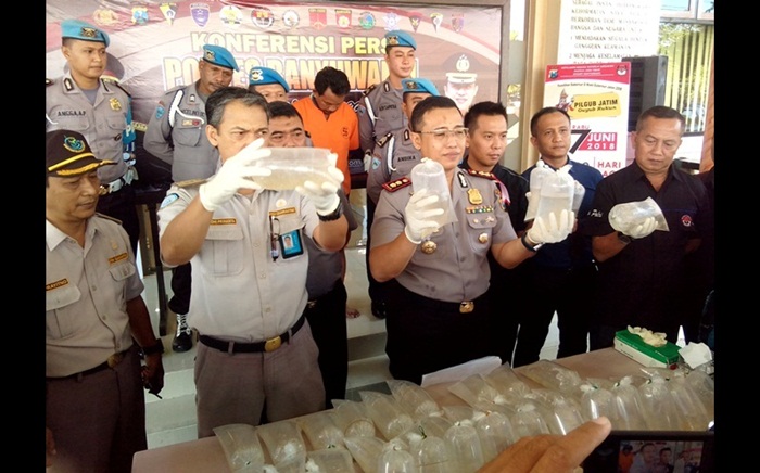 Kapolres Banyuwangi bersama petugas karantina sedang menunjukan barang bukti baby lobster.
