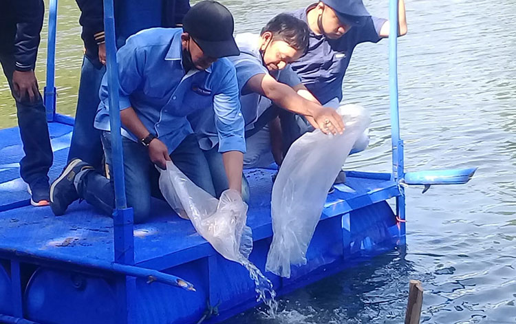 Nasdem Kota Probolinggo Gelar Restocking Penebaran Benih Ikan