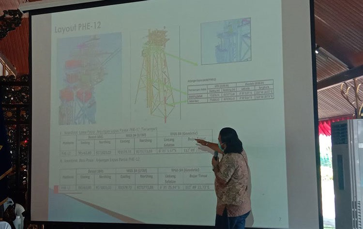 Layout PHE-12. (foto: ist).