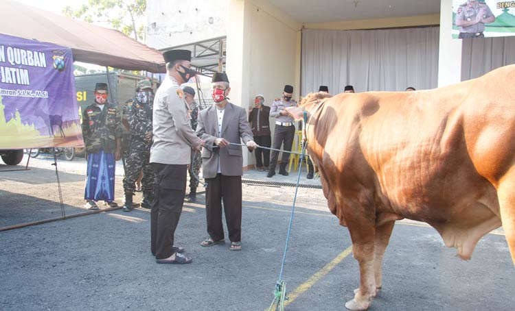 Kapolres Ngawi AKBP Dicky Ario Yustisianto saat menyerahkan hewan kurban.