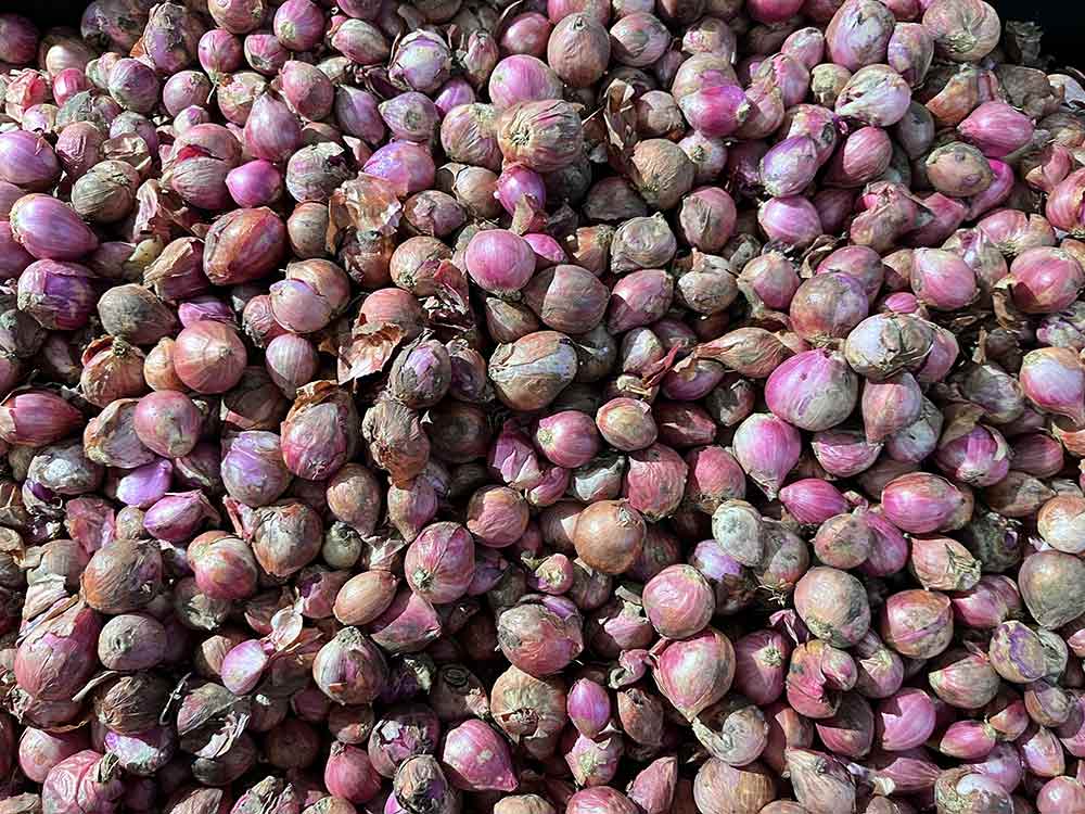 Bawang Merah Merosot, Simak Perubahan Harga Sembako Kota Batu Minggu 18 Mei 2025