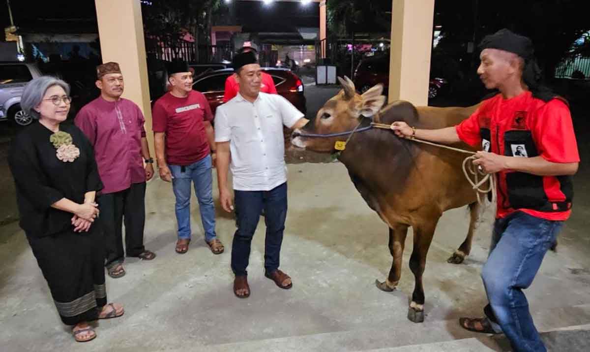 Rayakan Idul Adha 1444 H, Indah Kurnia Bagikan Puluhan Kambing dan Sapi