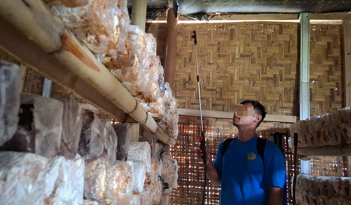 Lapas Kediri Panen Jamur Tiram, Warga Binaan Dapat Bekal Kewirausahaan Produktif