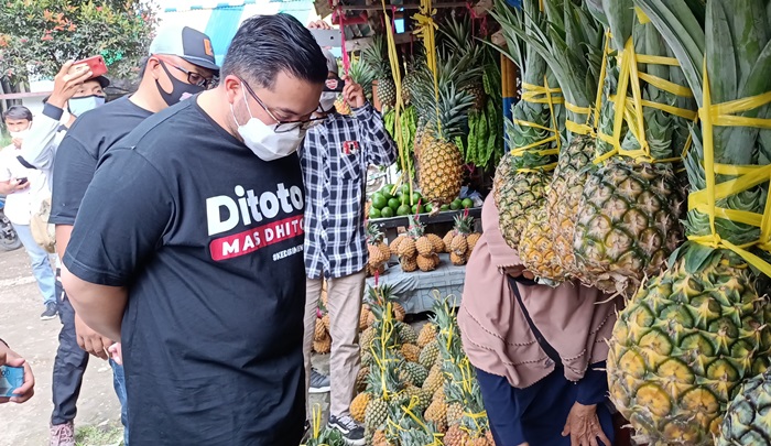 Dhito membeli buah nanas di kampung nanas. foto: MUJI HARJITA/ BANGSAONLINE