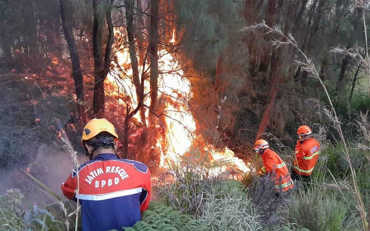 Kawasan Gunung Bromo Kembali Terbakar, TRC BPBD Jatim Langsung Berjibaku Padamkan Api