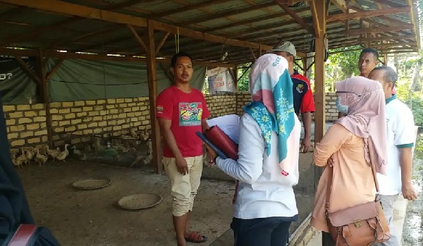 Kandang Bebek di Tengah Pemukiman, Ini Respons Dinas Peternakan Bangkalan