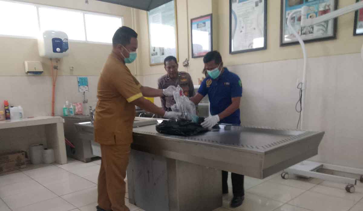 Tim Forensik Rumah Sakit Pusdik Bhayangkara Porong saat menerima potongan tubuh korban mutilasi di Pacet, Kabupaten Mojokerto.