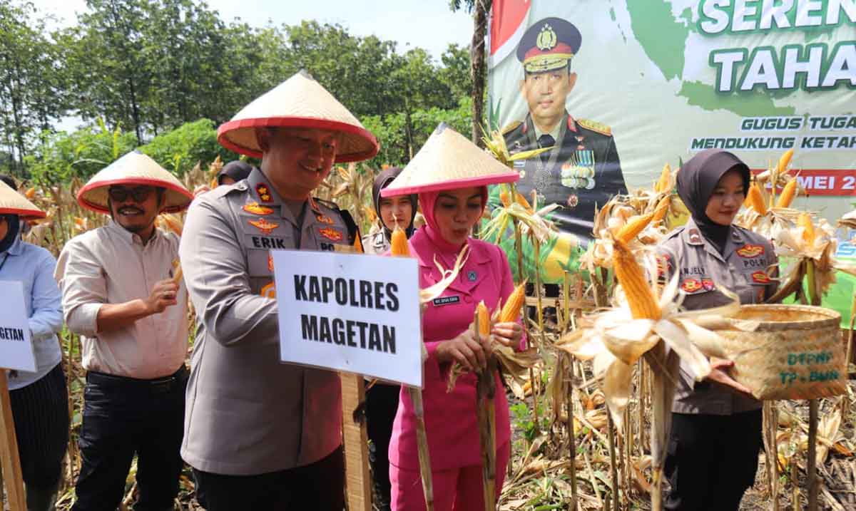 Kapolres Magetan bersama Forkopimda saat panen raya jagung.