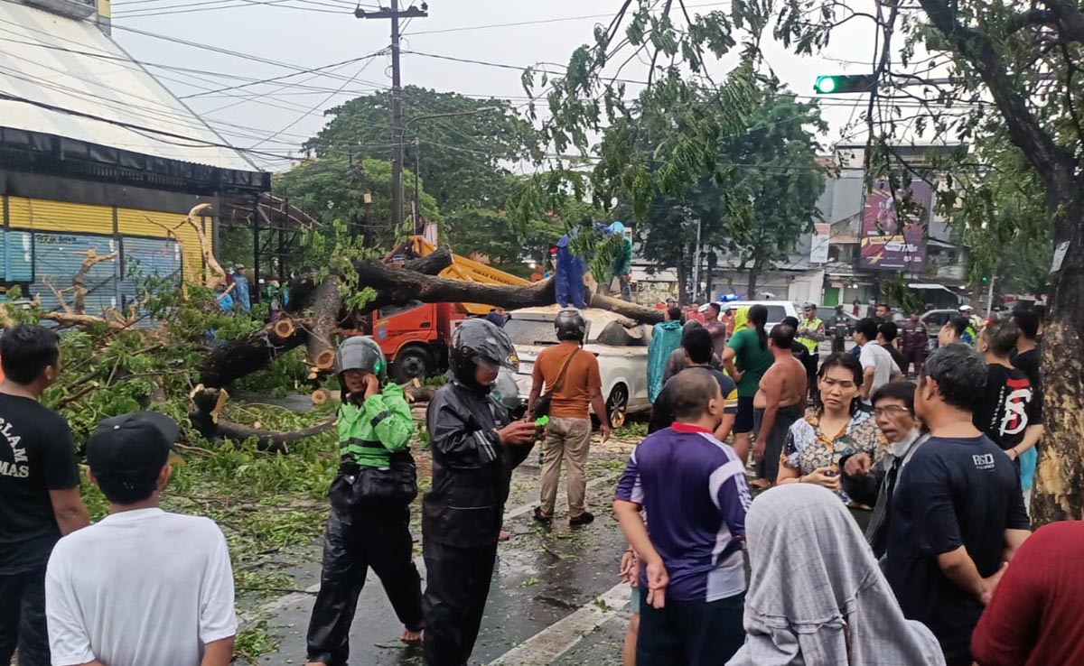 Pohon tumbang di Jl. Nginden yang menimpa mobil.