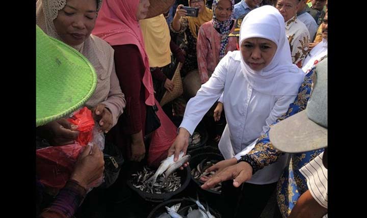 Harga Ikan Anjlok, Khofifah Jajaki Ekspor Ikan Lamongan ke Panama