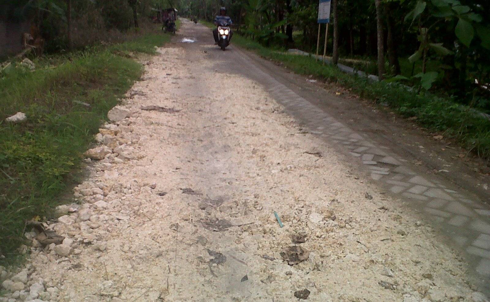 Jalan berpaving di Desa Temu, Kecamatan Kanor, Bojonegoro diurug pedel. Foto: Eky Nurhadi/BangsaOnline.com