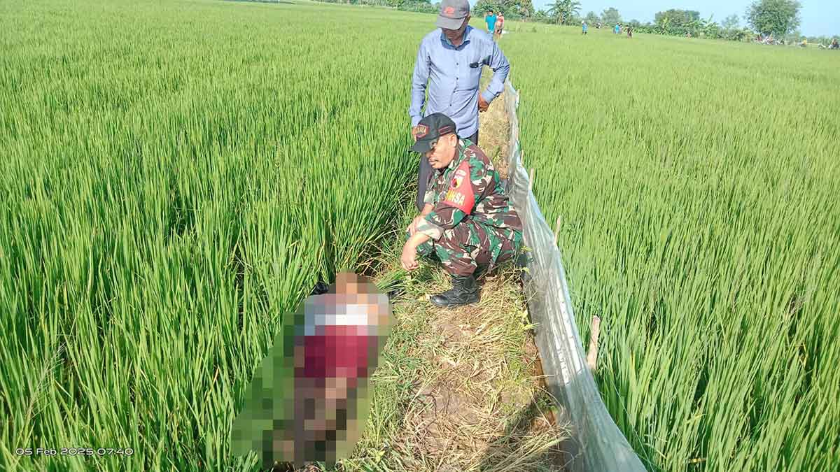 Kondisi mayat saat ditemukan warga di areal persawahan Dusun Wonosari, Desa Jogodalu, Kecamatan Benjeng, Gresik. Foto: Ist
