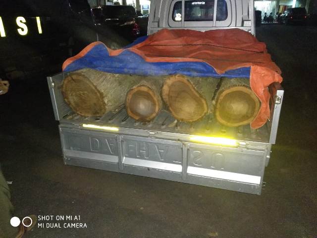 Inilah di antara kayu yang dicuri tiga pria itu. foto: yudi indrawan/ bangsaonline.com