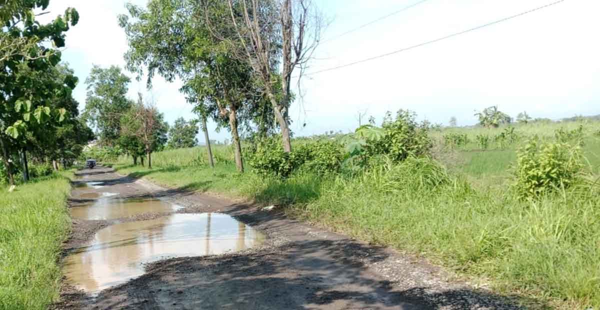 Kondisi jalan kabupaten yang menghubungkan Desa Brangkal-Jombangdelik, Kecamatan Balongpanggang, Gresik. Foto: Ist