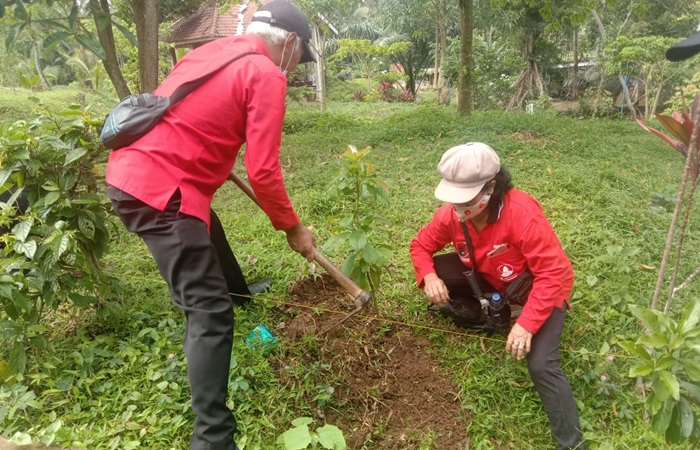 Peringatan HUT PDIP ke-49 dan HUT Megawati ke-75, DPC PDIP Trenggalek Gelar Penghijauan