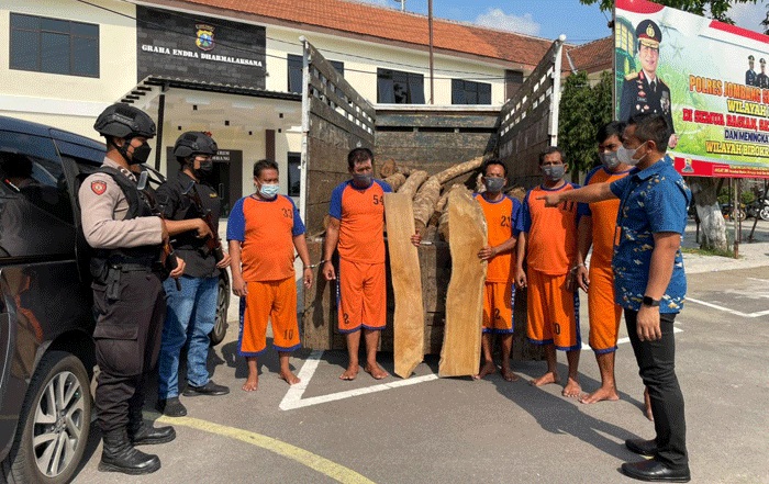 Gasak Ratusan Kayu Jati di Wonosalam Jombang, 7 Orang Diringkus Polisi