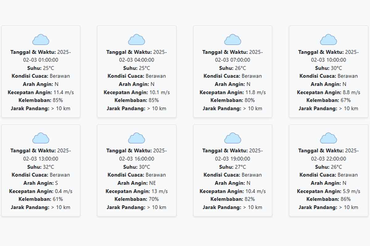 Prakiraan Cuaca Jember Hari ini Senin, 3 Februari 2025: Suhu 25-32 °C, Kecepatan Angin 8.97 m/s
