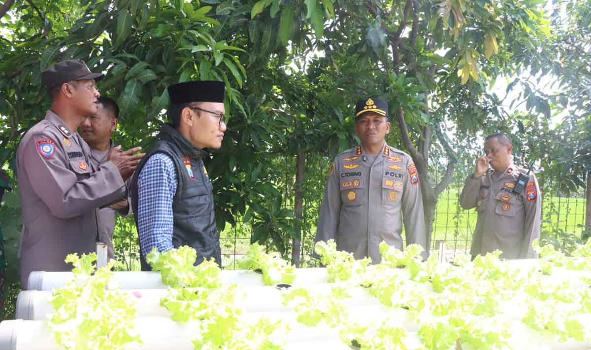 Kapolresta Sidoarjo saat meninjau budidaya pakcoy secara hidroponik.