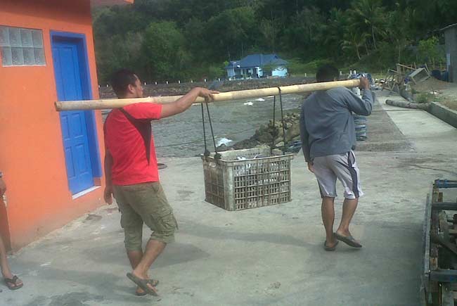Sejumlah nelayan di Pacitan, saat membongkar hasil tangkapan ikannya.
