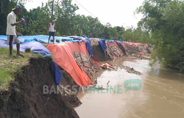 Tanggul Bengawan Solo Di Kanor Longsor Lagi, Warga Sekitar Tak Bisa ...