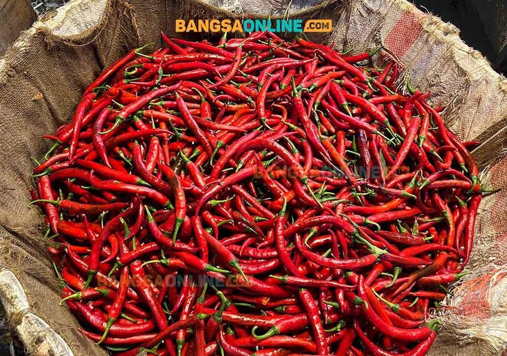 Cabai merah besar menjadi komoditas pangan yang mengalami penurunan paling tajam hari ini. Foto: Sulthon/Bangsaonline.