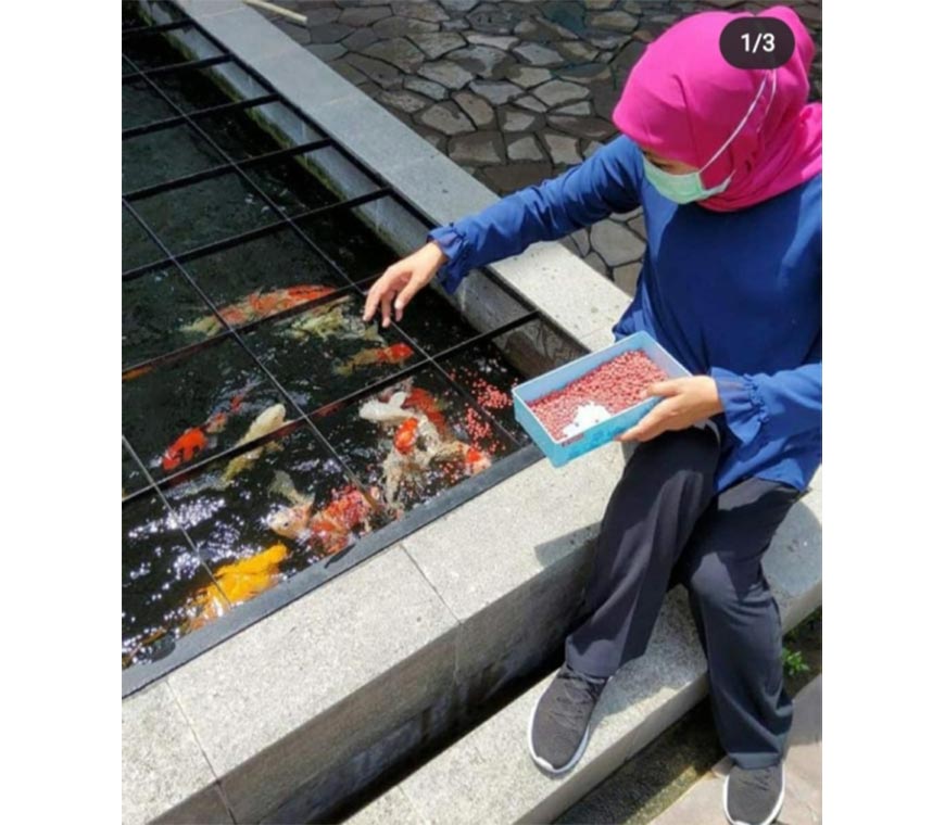 Kasih Makan Ikan, Gubernur Khofifah: Arena Rekreasi selama Isolasi Mandiri