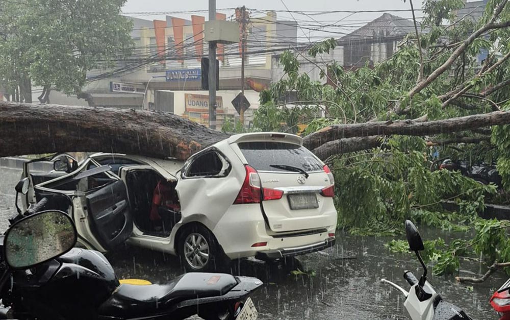 Mobil Toyota Avanza putih ringsek usai tertimpa pohon tumbang.