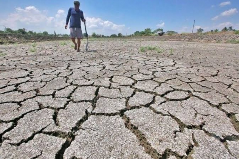 Ilustrasi kekeringan dampak dari El-Nino (dok. PMJ)