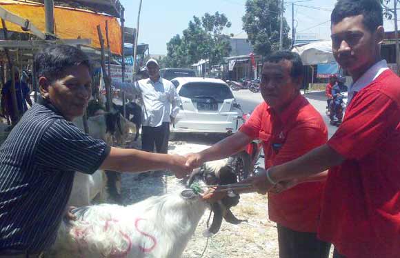 Pendiri RGS-SQ, H Moh Khozin menyerahkan hewan kurban kepada ketua RT 05 RW 03 Perumahan Kembangan Regency, Katik Alfarizi. foto: syuhud/BANGSAONLINE