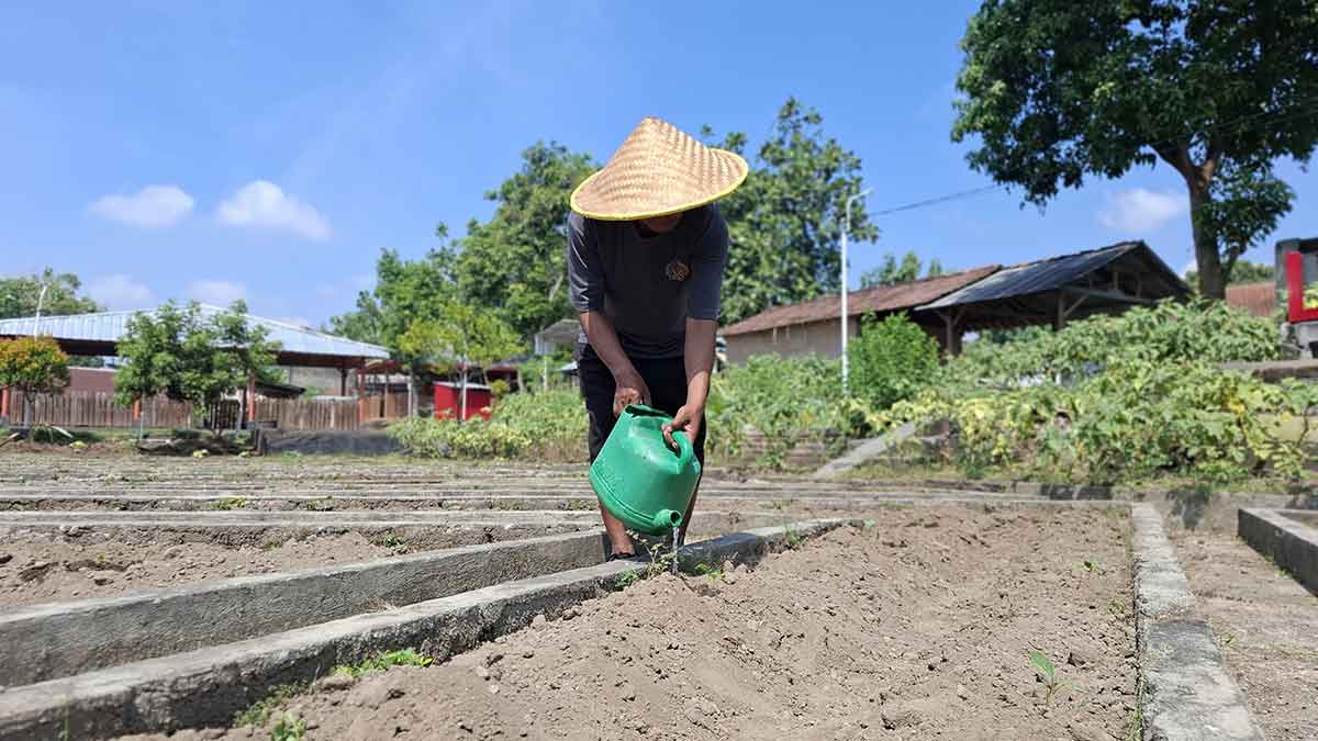 Seorang WBP Lapas Kediri saat menyirami tanaman. Foto: Ist 