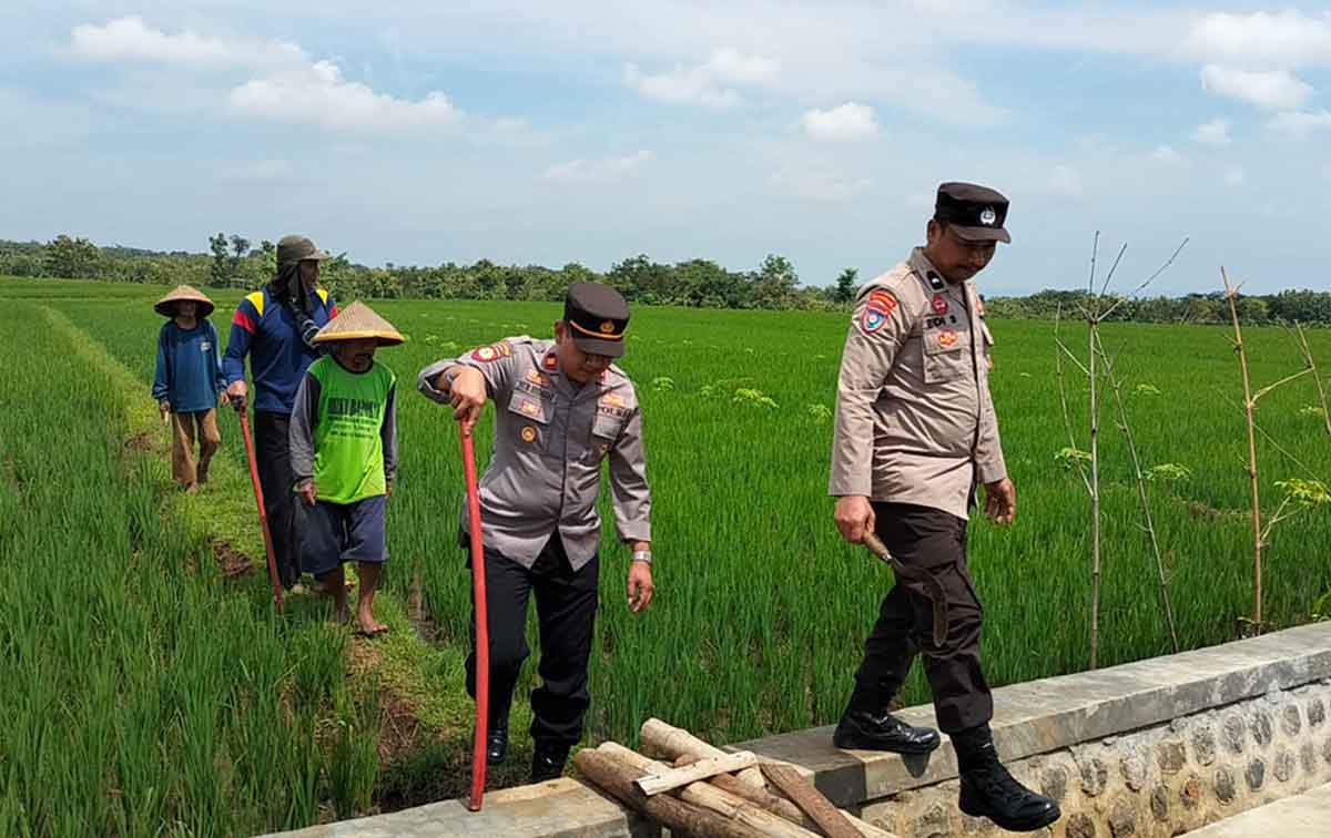 Bhabinkamtibmas Polsek Jogorogo bersama petani lakukan gropyokan tikus, Selasa (10/1/2023)