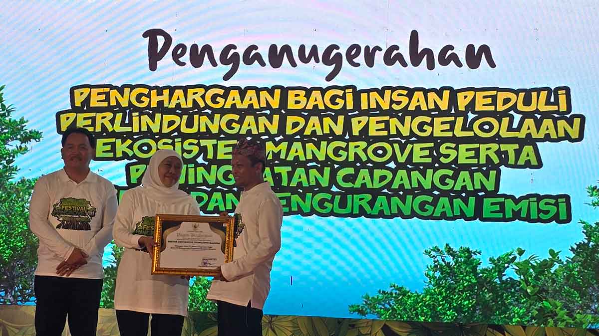 Rektor UTM, Prof. Dr. Safi, S.H., M.H., saat menerima penghargaan dari Gubernur Khofifah dalam Festival Mangrove ke-8 yang digelar di Pesisir Mlajah.