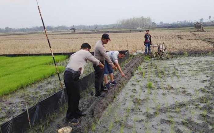 Kapolres Ngawi akan Tindak Tegas Pelaku Pemasang Jebakan Tikus Memakai Setrum