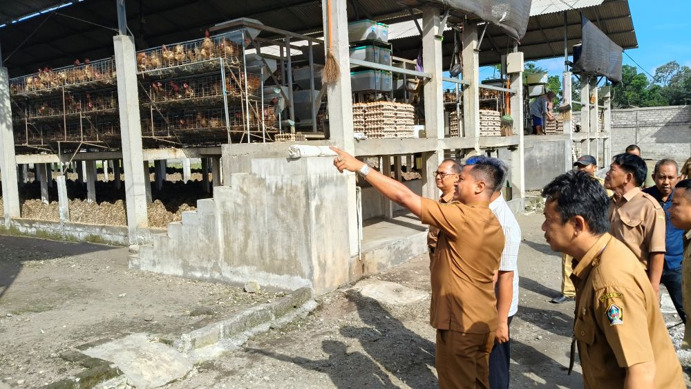 Wabup Beky saat mengecek produktivitas peternakan ayam petelur