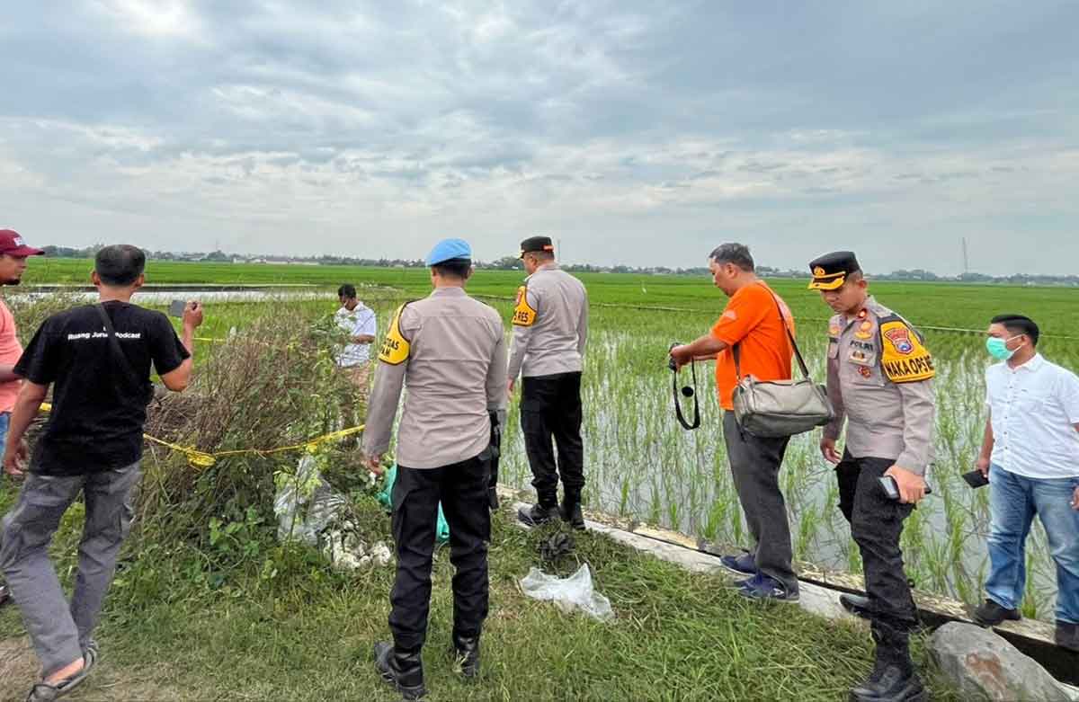 Proses evakuasi mayat tanpa kepala di Jombang.