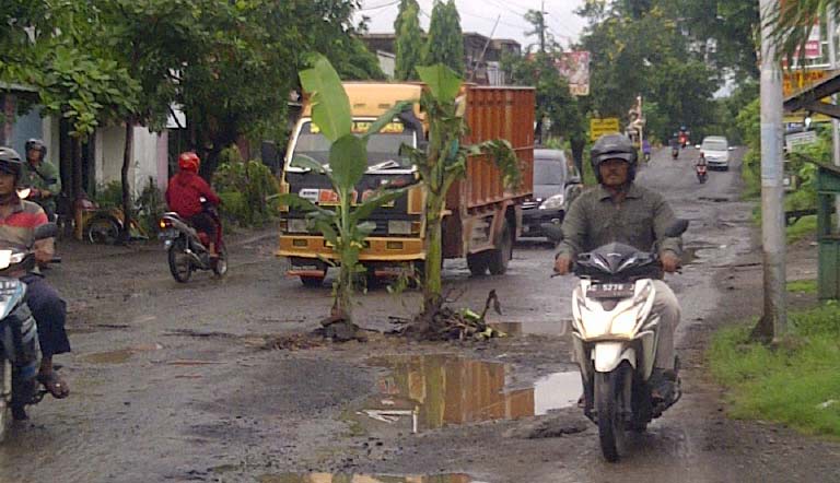 BIKIN KECELAKAAN: Sejumlah pohon pisang yang ditanam warga di ruas jalan yang kondisinya rusak parah. foto: soewandito/ BANGSAONLINE