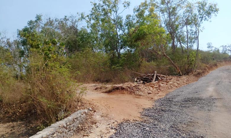 Lahan di petak 46 yang berlokasi di Desa Kebunan, Kecamatan Kota, Kabupaten Sumenep menjadi salah satu titik proyek peningkatan Jalan Lingkar Utara (JLU).