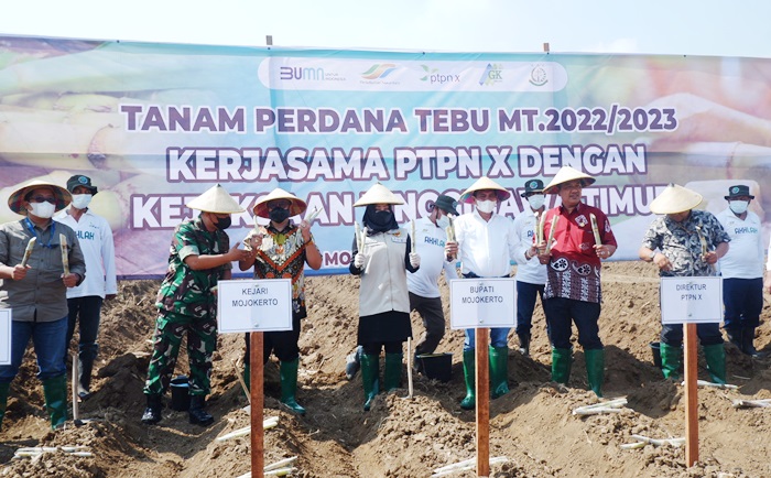 Bupati Ikfina bersama Kepala PTPN X Tuhu Bangun, Asisten Perdata dan Tata Usaha Negara (Asdatun) I Putu Gede Astawa, dan Forkompimda Kabupaten Mojokerto saat melakukan prosesi tanam tebu.
